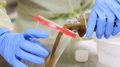 国外大叔靠移植女儿粪便,成功治愈罕见怪病