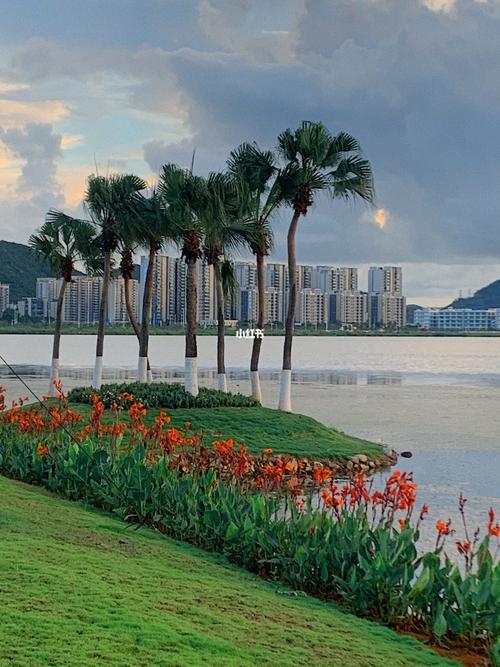 珠海金湖公园|_摄影_夕阳_野餐_夏天去哪玩_旅行_吉林大学珠海学院
