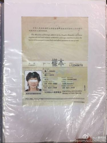 在新加坡的中国人,这样申请台湾签证就ok