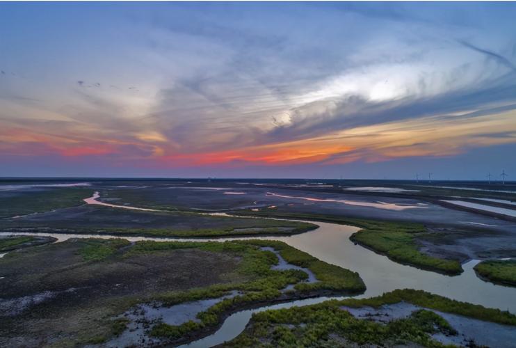 江苏一滨海湿地走红,成功入选世界遗产,或成盐城旅游"新名片"