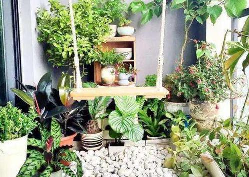 花卉可以美化阳台,卧室,客厅,阳台一般阳光好,摆上几盆喜阳光的植物