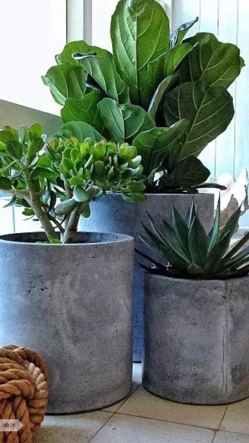水泥diy花盆长这样