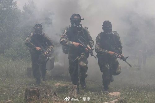象鼻人毒气专家你不是防化兵所以不会知道