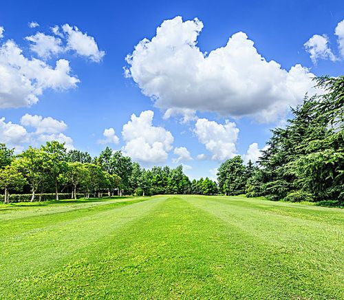 绿色,草地,蓝天,夏季,高尔夫球场