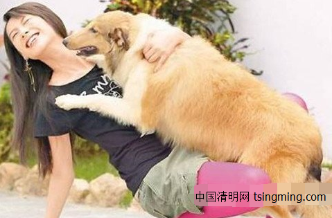 为什么狗狗喜欢扑人?