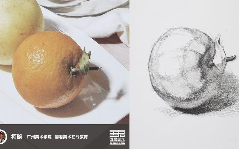 「国君美术」 静物结构素描_单体_桔子_柯略