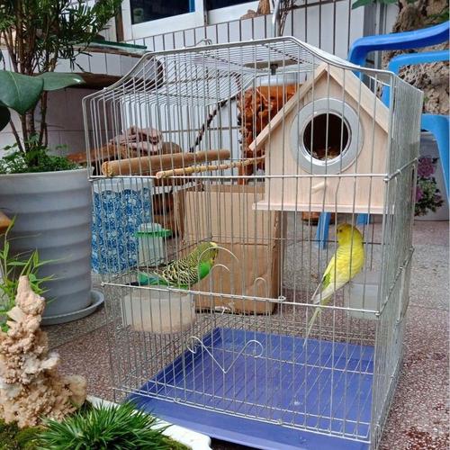 【店铺推荐】鸟窝鹦鹉窝实木制保暖繁殖箱户外鸟巢房屋玄风虎皮八哥小