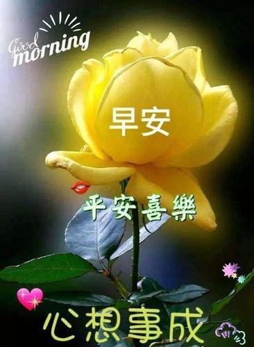 新的一周最新早上好祝福温馨语句,最美的早安祝福文字表情图片