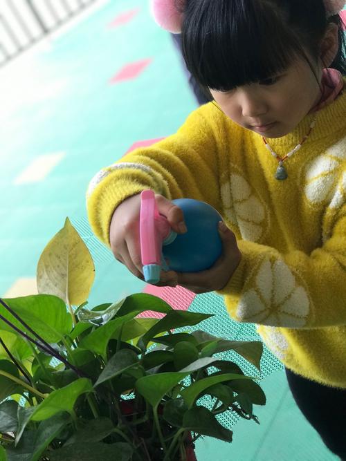 【智慧星幼儿园学前一班第十六周】日常篇—浇花