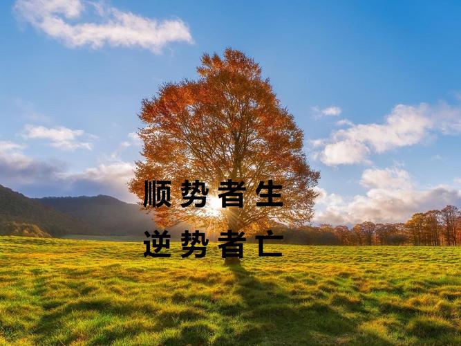毕飞腾:现货树脂,燃料烃投资的5个核心技术