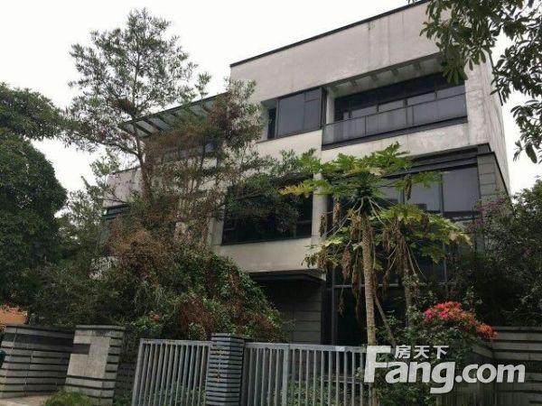 保利香雪山别墅带负一共四层送170方花园两个车位