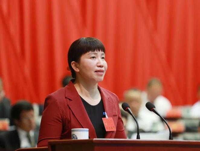 州长罗萍代表州人民政府向大会作政府工作报告