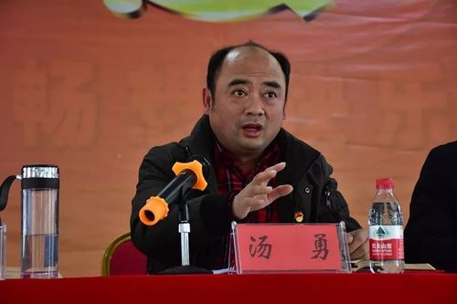 集里桥社区党委书记汤勇上党课下午,各村(社区)分支部组织党员召开