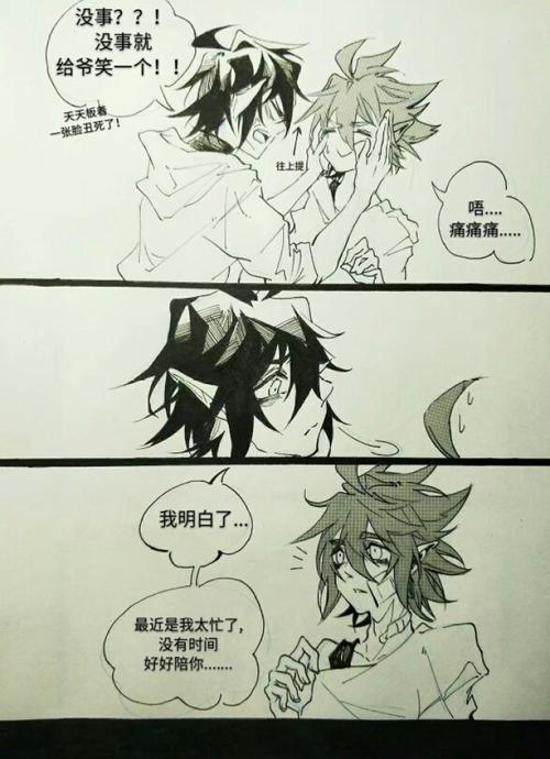 雷安卡.侵权\在此向作者致歉