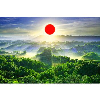 意境绿色森林红太阳日出靠山图有山无水树木大自然风景画书房墙贴卧室