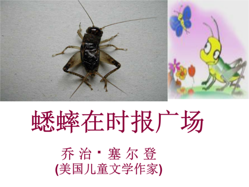 蟋蟀在时报广场-002.ppt