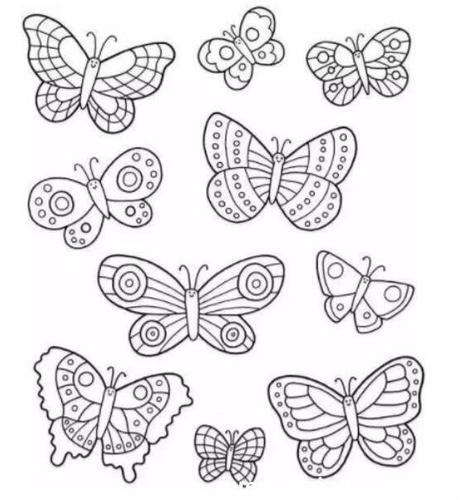 各种各样美丽的蝴蝶简笔画图片大全