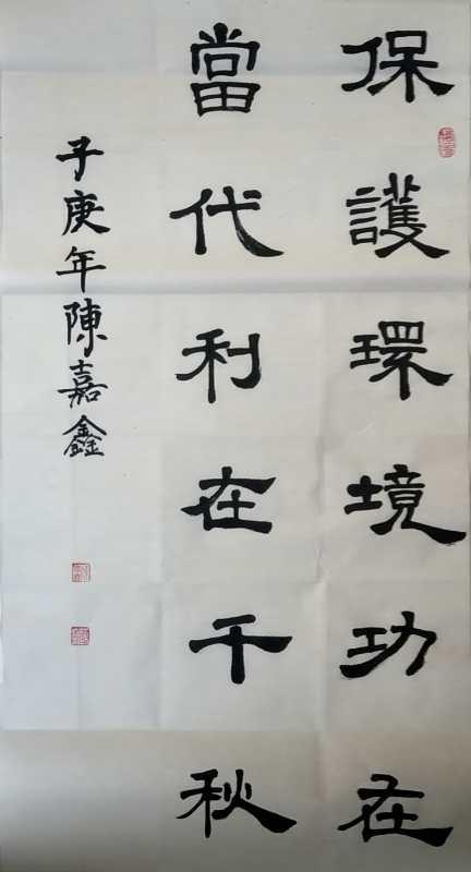翰墨书大爱        书法助环保