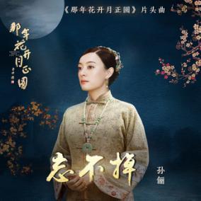 网易云音乐上线热播剧《那年花开月正圆》片头曲