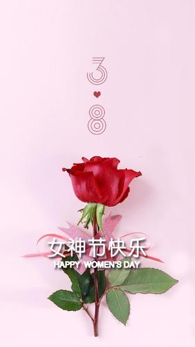 女神节快乐迷人的玫瑰