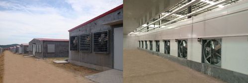 养鸡场推拉式风机水帘通风降温设备