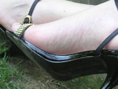 lofter for ipad —— 记录生活,发现同好