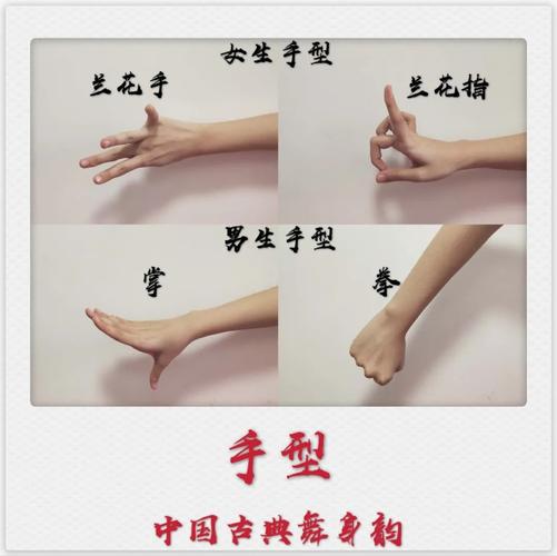 中国古典舞身韵系列课程(三)——元素《含,腆,仰》组合