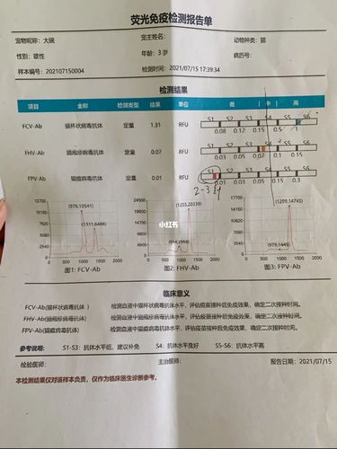 猫三联抗体检测——猫瘟病毒抗体很低!