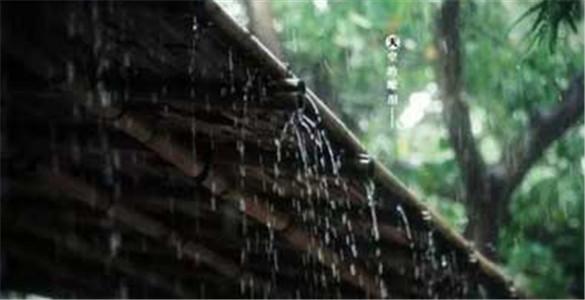 落雨· 听禅,净化心灵!