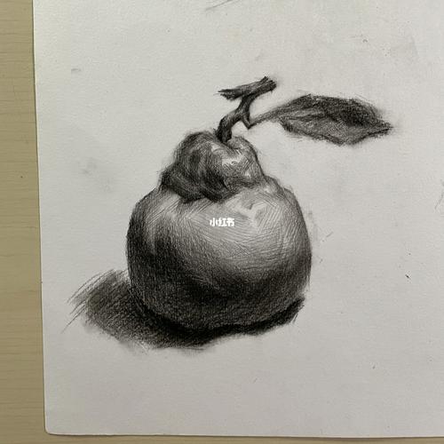 素描|丑橘_素描_美术生_文化_绘画