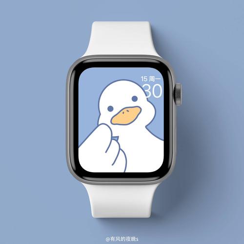 3/30|apple watch 表盘壁纸分享 每天也要加油分享鸭