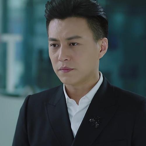 我的前半生靳东同款胸针男黑色饰品贺函胸花别针西装饰品