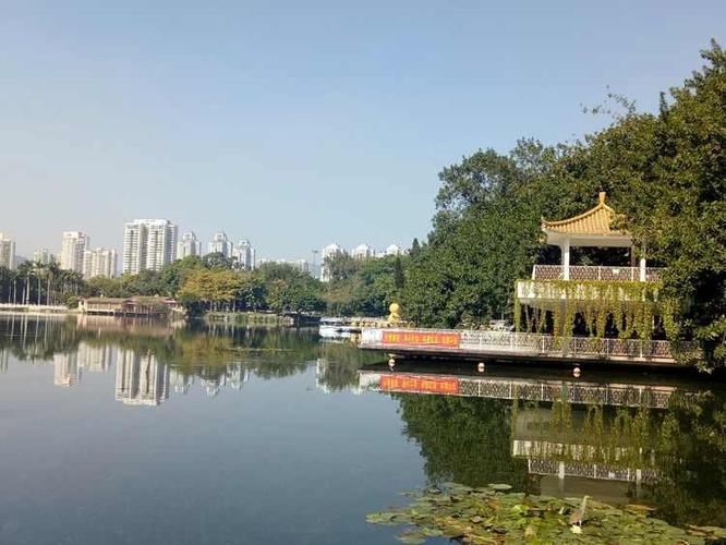 深圳荔枝公园有什么景点