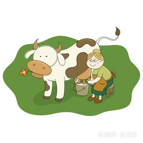 挤奶的奶牛挤奶
