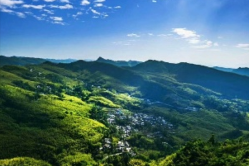 贵州六盘水的网红景点,有3万亩成片的竹林,森林覆盖率