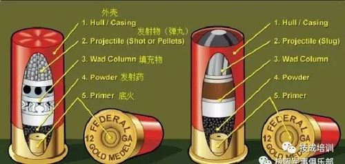 建议 wifi观看~ 装配完后 霰弹就做好了 雷明顿霰弹枪弹药(成品)剖面