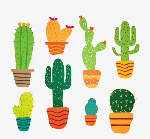 关键词 : 植物,手绘,绿色,集合,盆栽,小清新素材