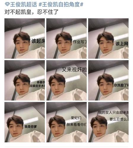 一众粉丝纷纷上阵p图,王俊凯和小螃蟹们也算饭圈清流了.