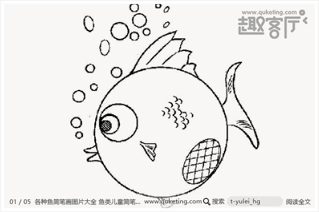 各种鱼简笔画图片大全 鱼类儿童简笔画
