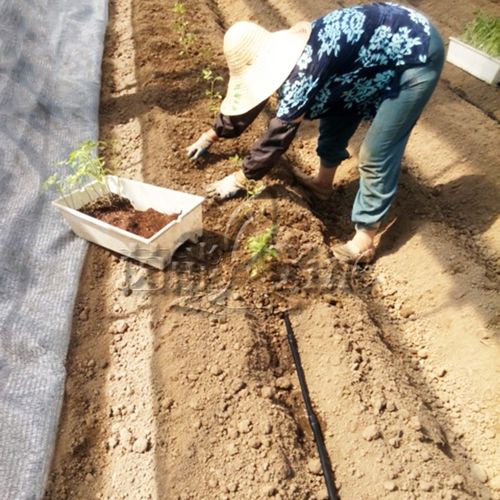 【茵能厂家直销】【土埋防堵】节水滴灌管渗灌管 内镶
