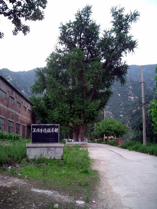 蓝田王维别墅——辋川别业