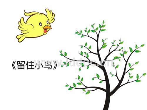 大班社会教案——留住小鸟.ppt