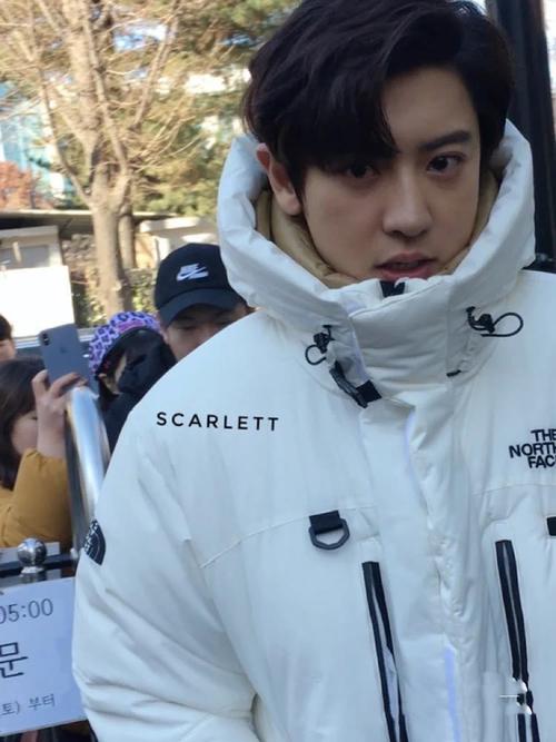 那些惊艳了时光的生图—朴灿烈