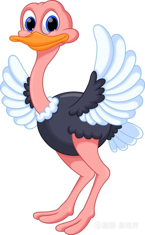 有趣的鸵鸟卡通