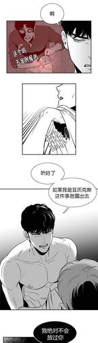《bj alex》——完整版——(全文免费阅读)