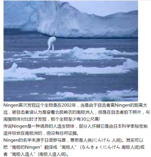 南极未知生物的手抄报 关于生物的手抄报