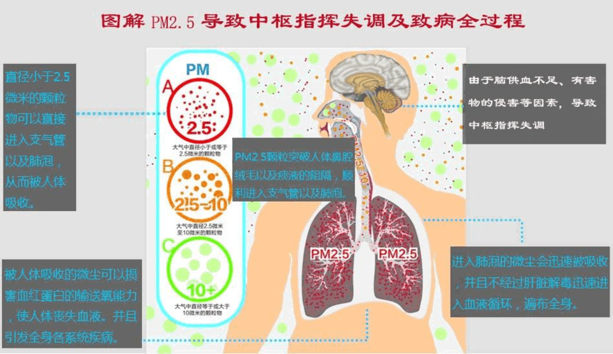 众所周知pm2.5也称为可入肺颗粒物.它富含大量的有毒,有