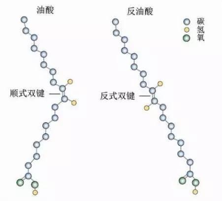 脂肪酸是一种主要由氢和碳原子组成的长链,根据其结构(碳原子与氢原子