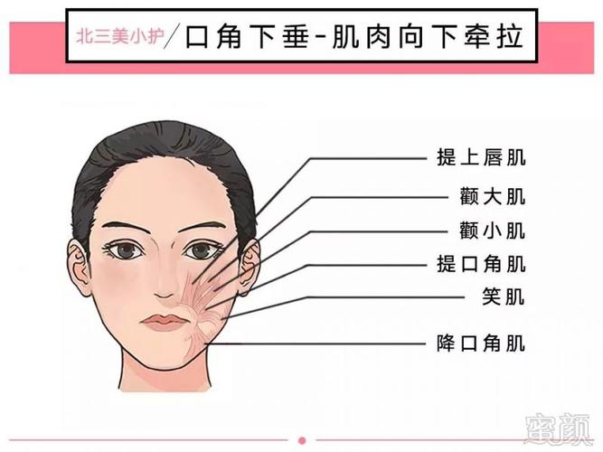 当降口角肌力量太强时,嘴角就会下垂.