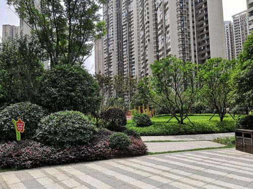 云顶梅溪湖五期